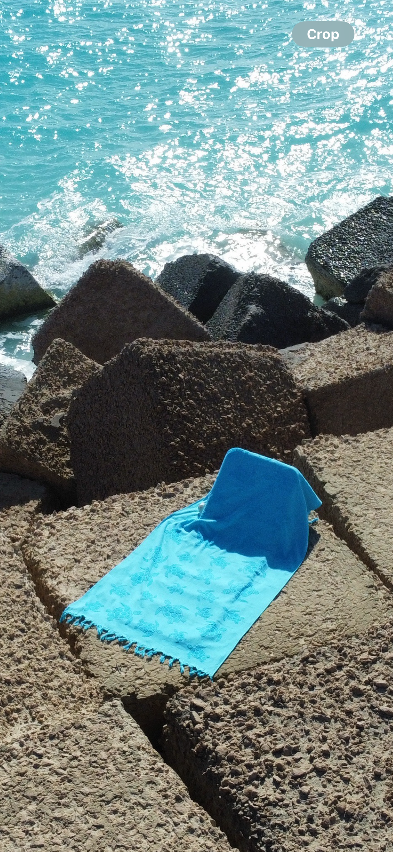 La Turtuga - Turquesa